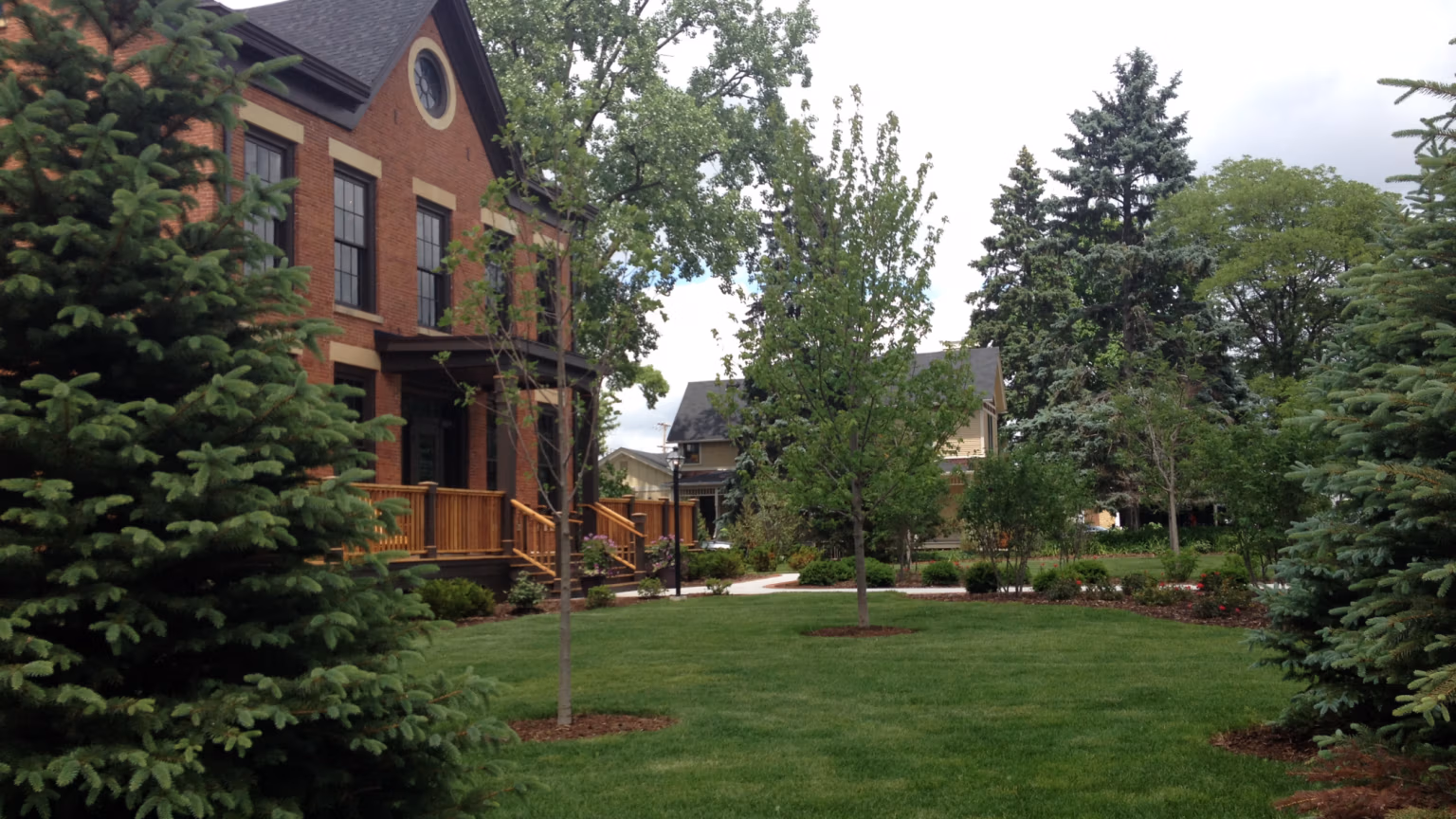 Newly planted trees and shrubs in a St. Charles, IL landscape bed, showing how to plant trees at the right depth