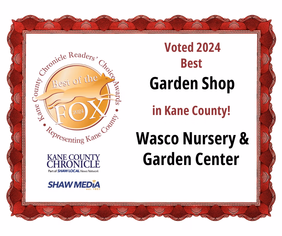 wasco nursery awards for landscape design near me and st charles nursery