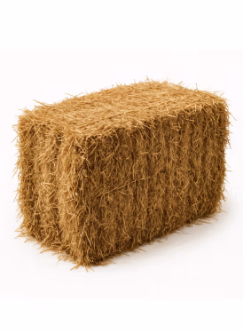 Straw bales for sale – small and large sizes for garden use, fall decor, erosion control, and animal bedding